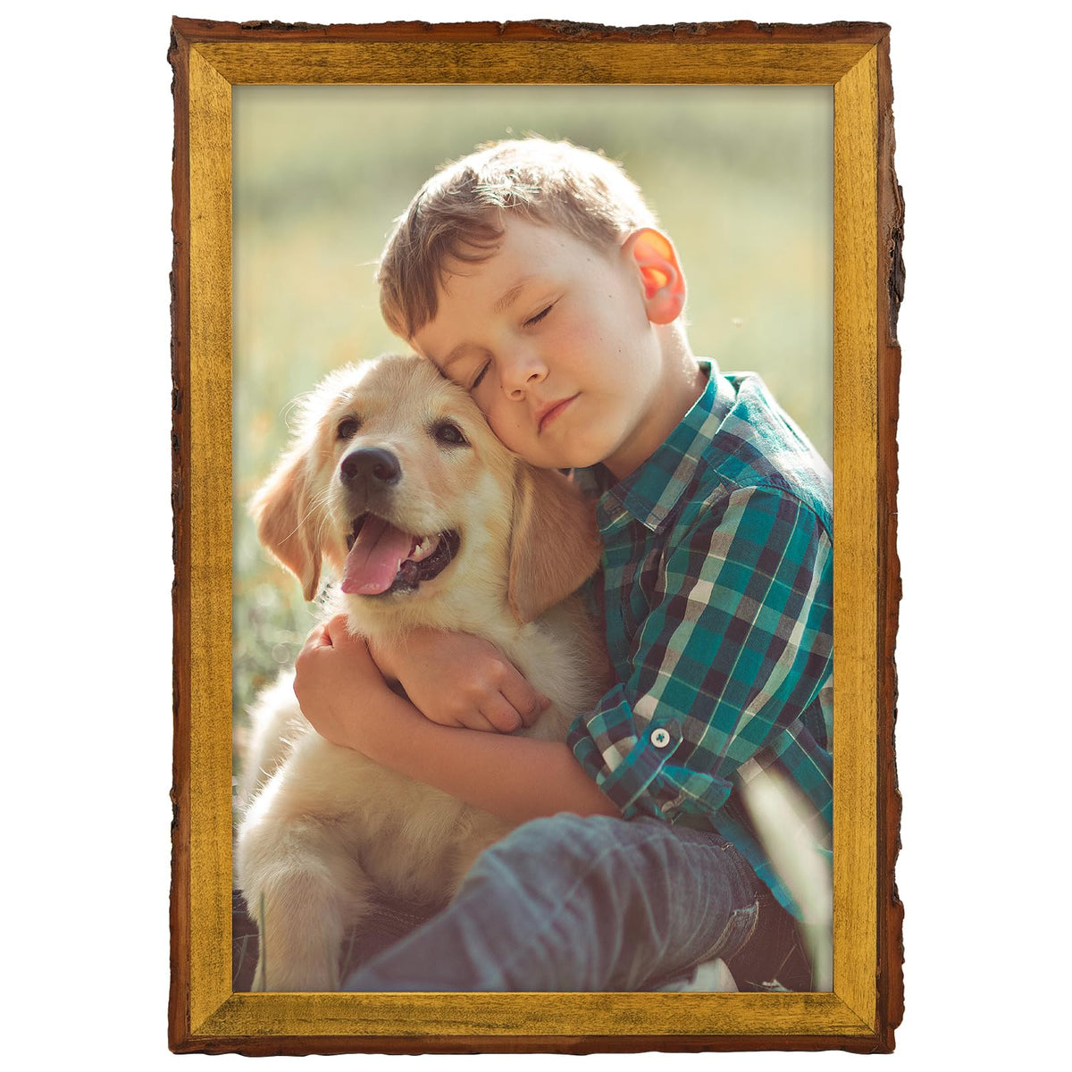 Golden State Art 8.5x11 Picture Frame Rustic Brown,Wood&Bark Edges&Glass