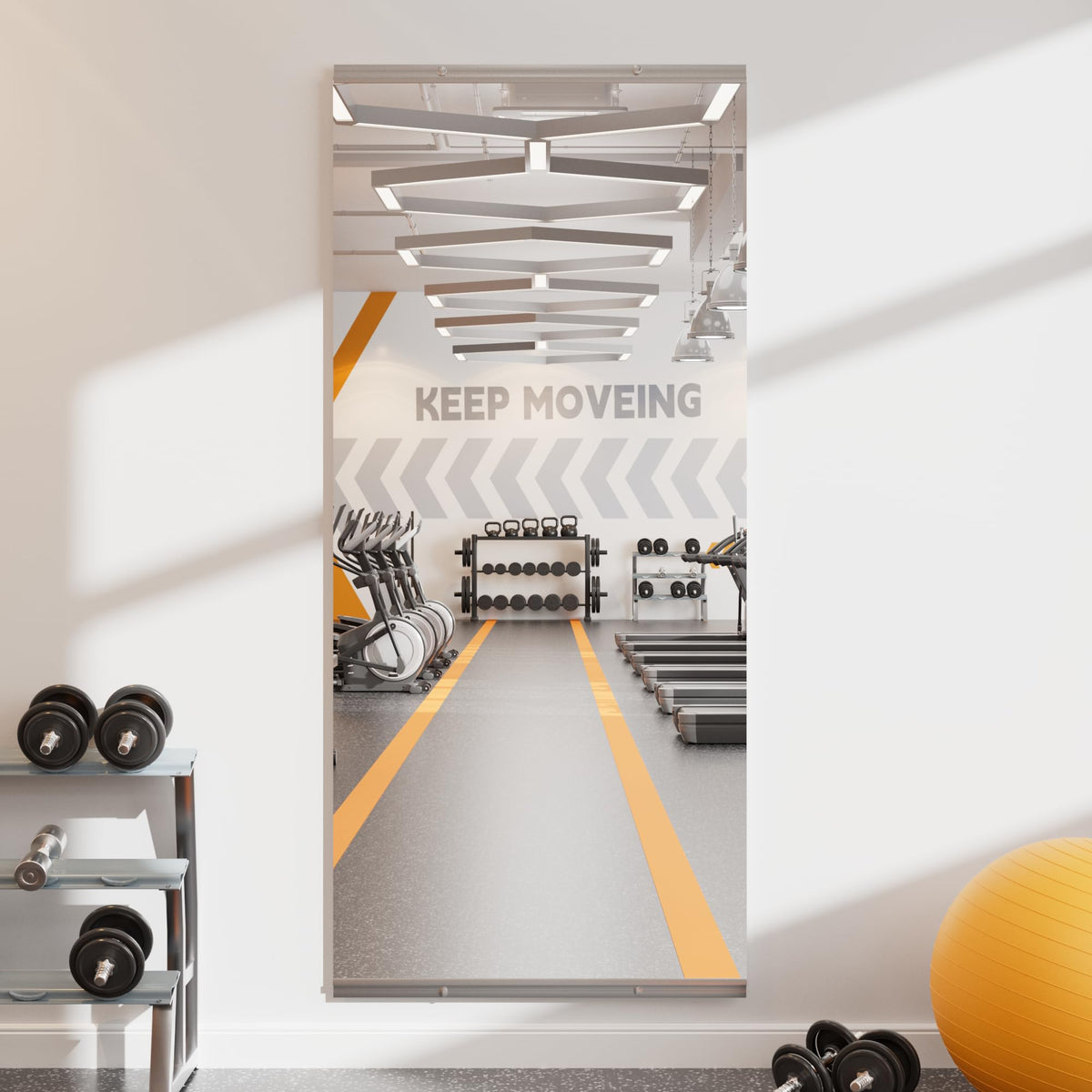 LOAAO Home Gym Mirror 48"x24", 2 PCS