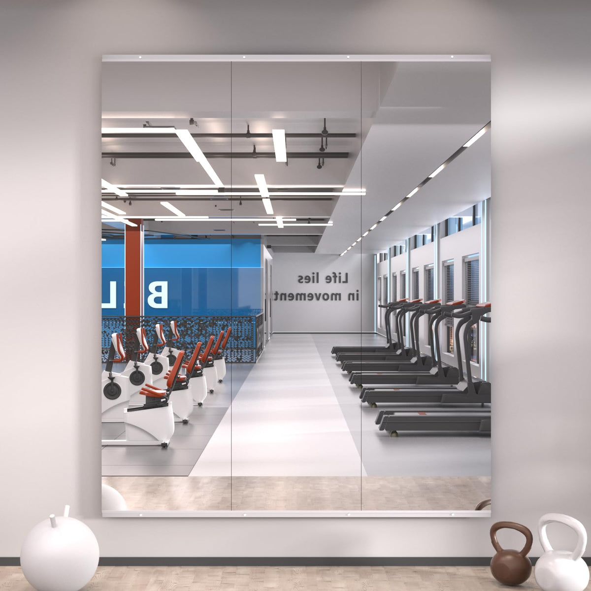 LOAAO Home Gym Mirror 48"x24", 2 PCS