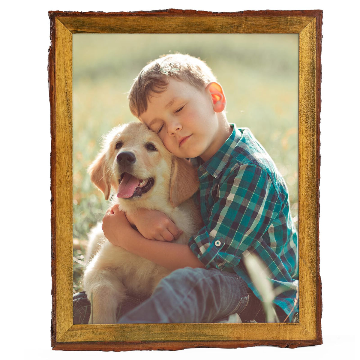 Golden State Art 8.5x11 Picture Frame Rustic Brown,Wood&Bark Edges&Glass