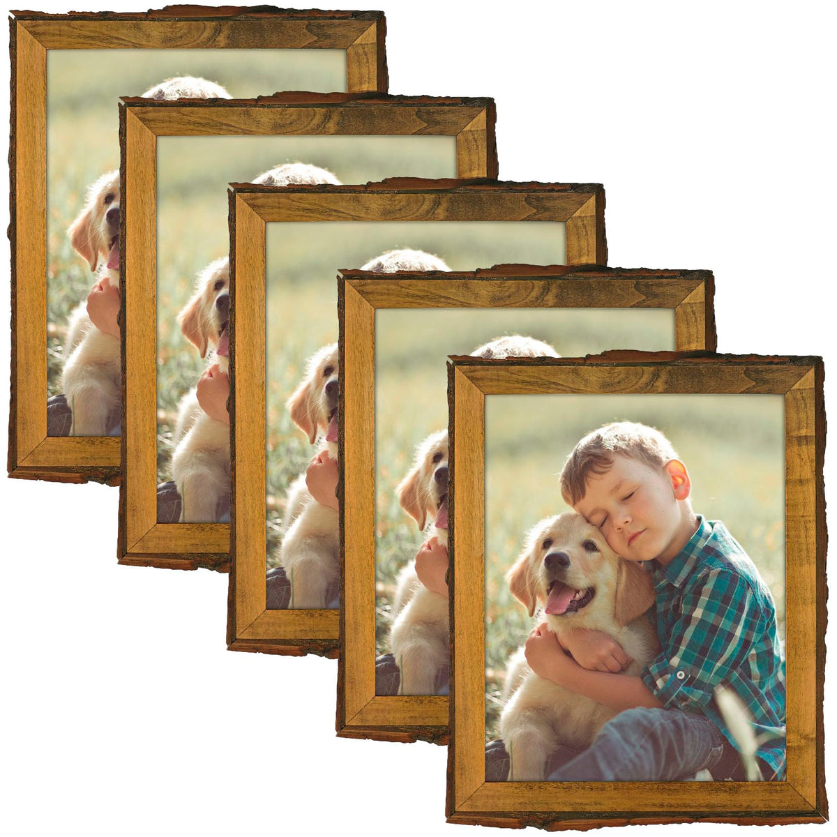 Golden State Art 8.5x11 Picture Frame Rustic Brown,Wood&Bark Edges&Glass