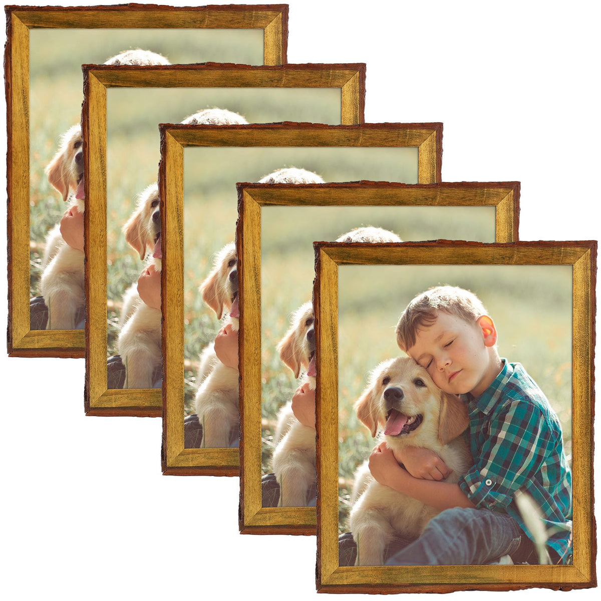 Golden State Art 8.5x11 Picture Frame Rustic Brown,Wood&Bark Edges&Glass