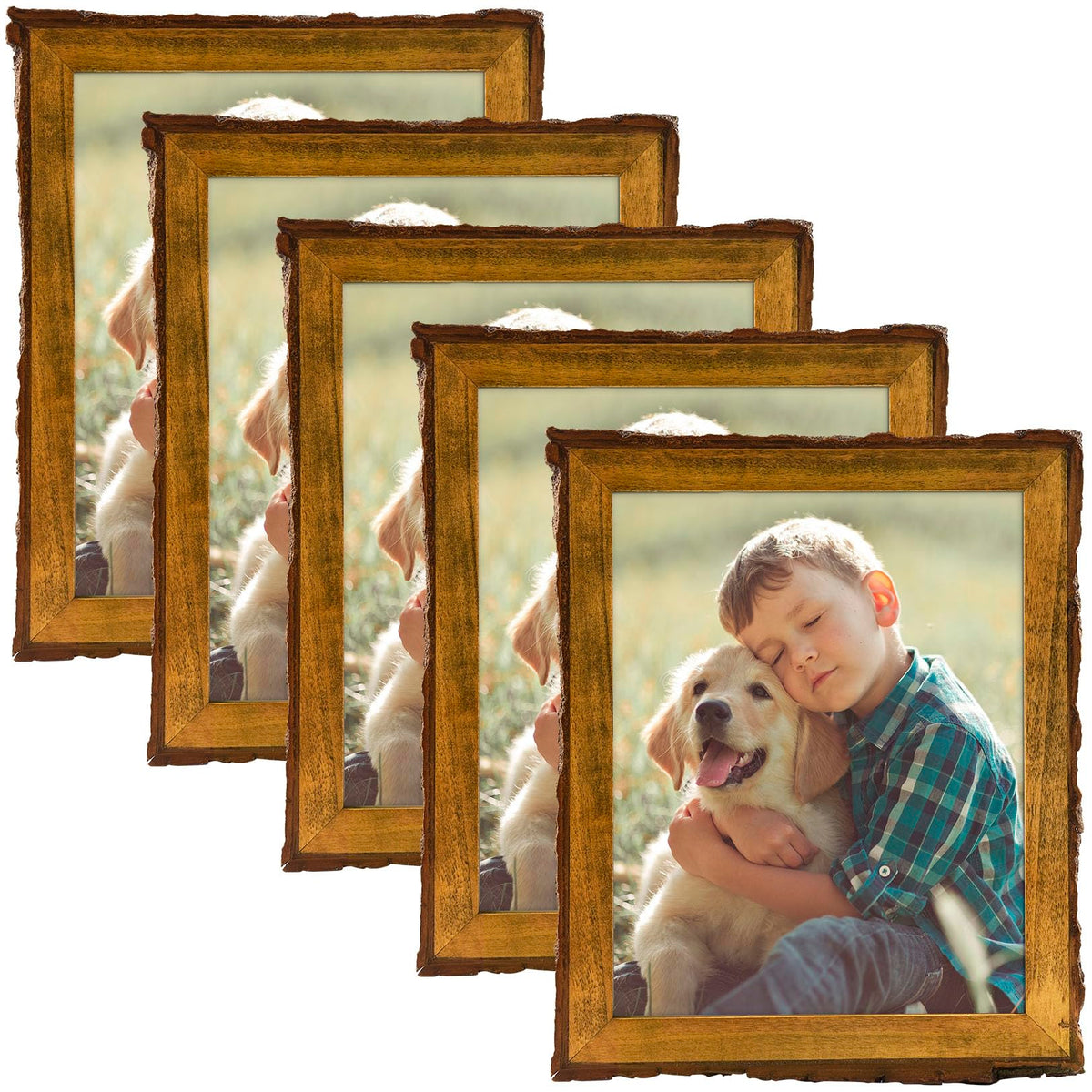 Golden State Art 8.5x11 Picture Frame Rustic Brown,Wood&Bark Edges&Glass