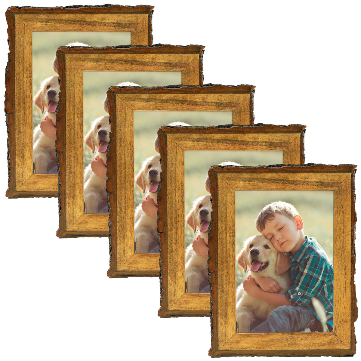Golden State Art 8.5x11 Picture Frame Rustic Brown,Wood&Bark Edges&Glass